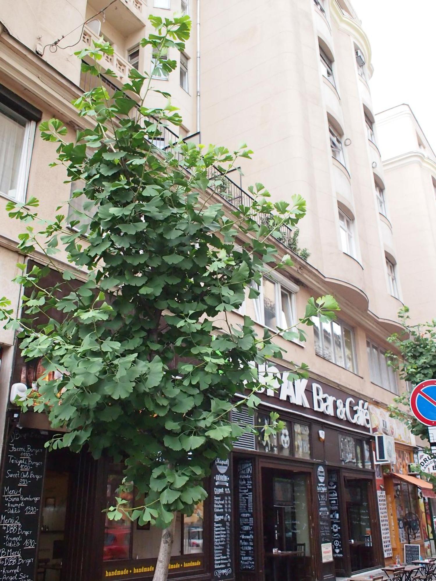 Budapest Suites — Photos 2
